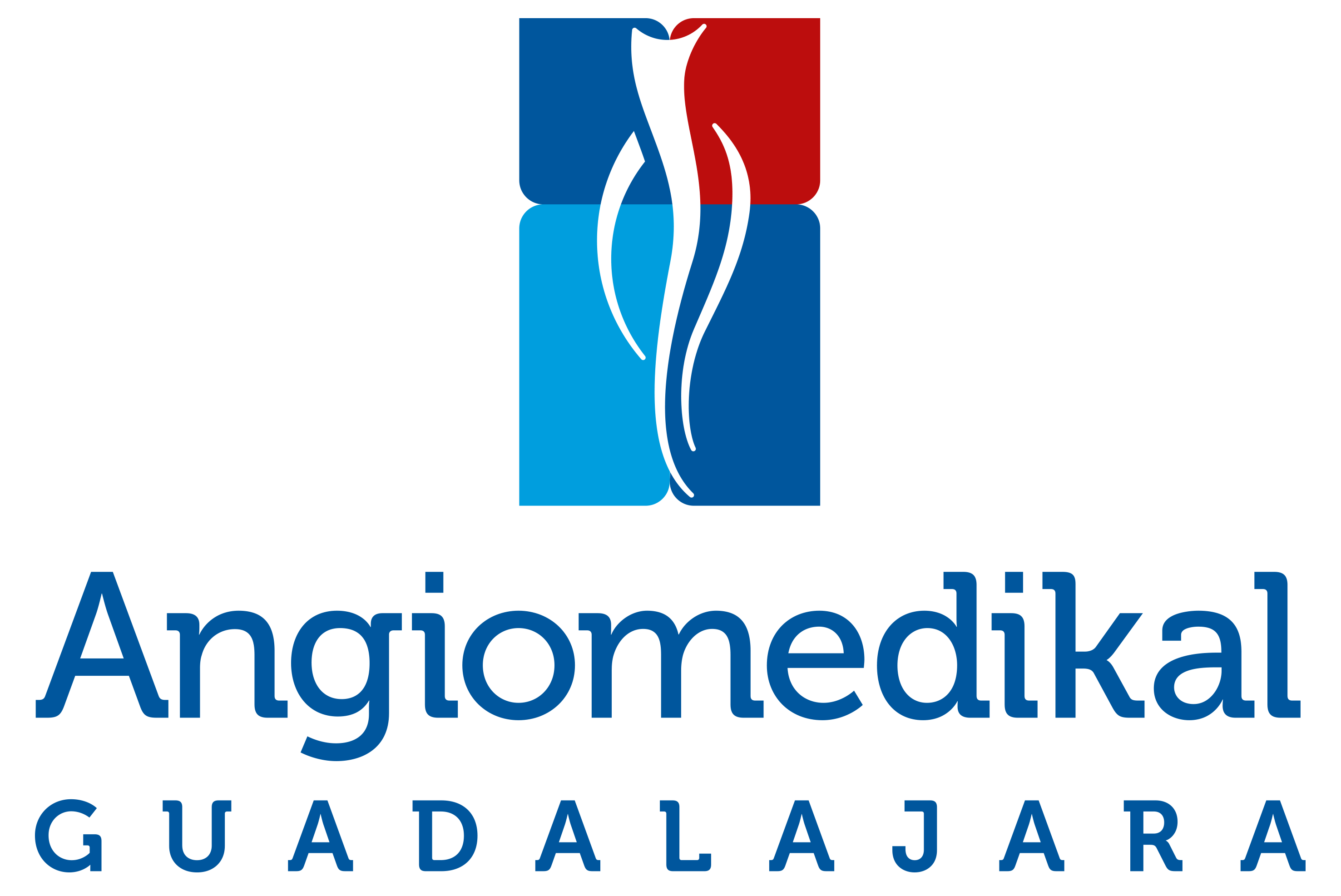 Angiología, Cirugía Vascular y Endovascular